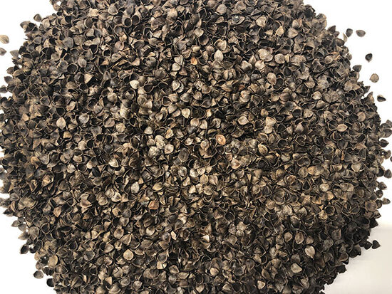 Griķu sēnalas 10kg